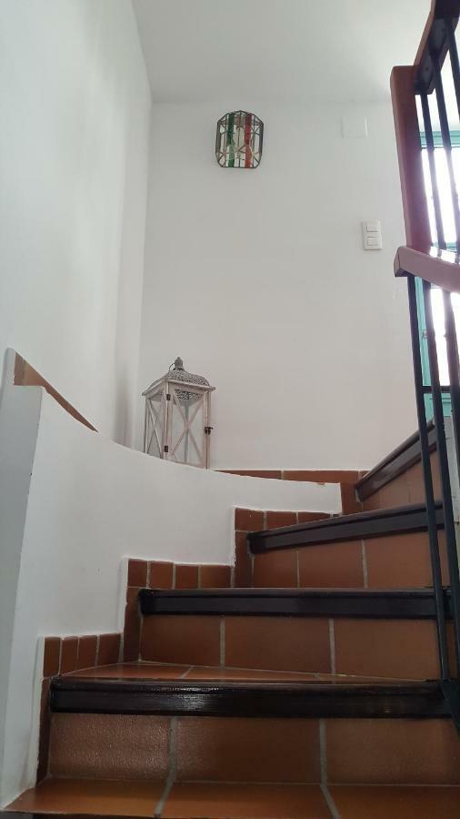 Mirador Alhambra - 2 Private Terraces - Wifi - Apartment Granada Ngoại thất bức ảnh